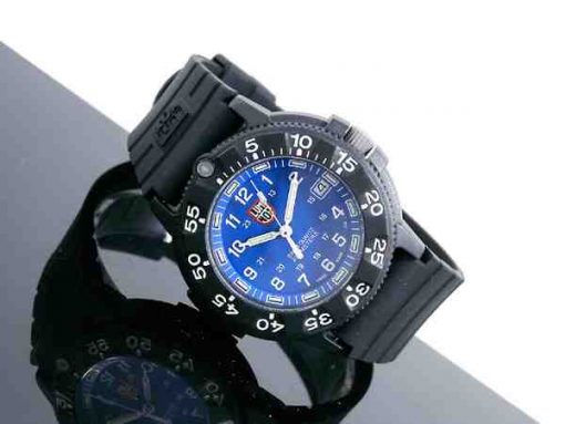 jam tangan luminox original