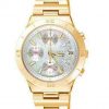 jam tangan citizen original