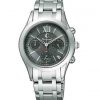 Citizen FA3000-55H