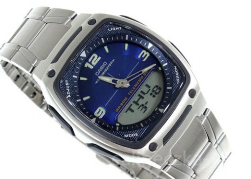 Casio AW81D-2AV