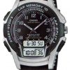 casio standart