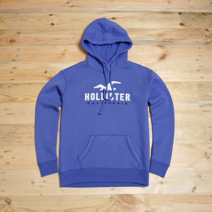 hollister hoodie logo